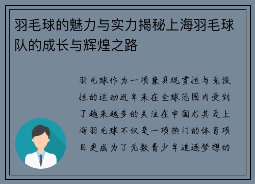 羽毛球的魅力与实力揭秘上海羽毛球队的成长与辉煌之路